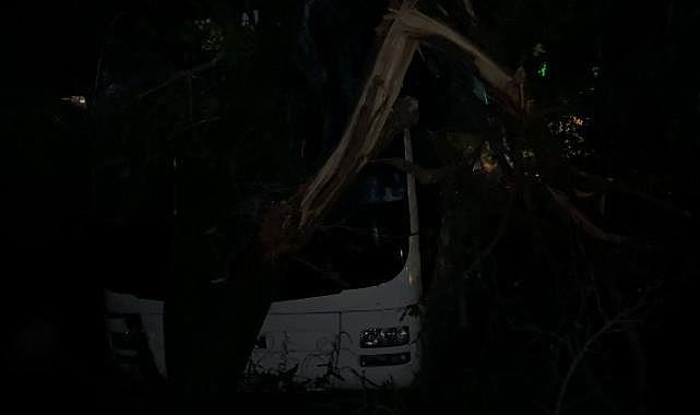 Bursa'da servis otobüsü yol kenarındaki araziye girdi