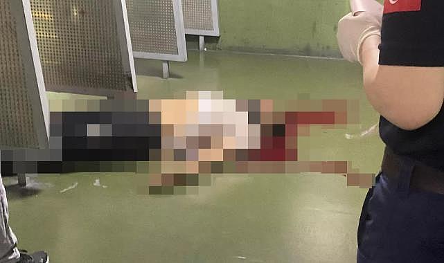 Diyarbakır'da poligona atış yapmaya giden doktor, atış sırasında kendini vurarak hayatını kaybetti