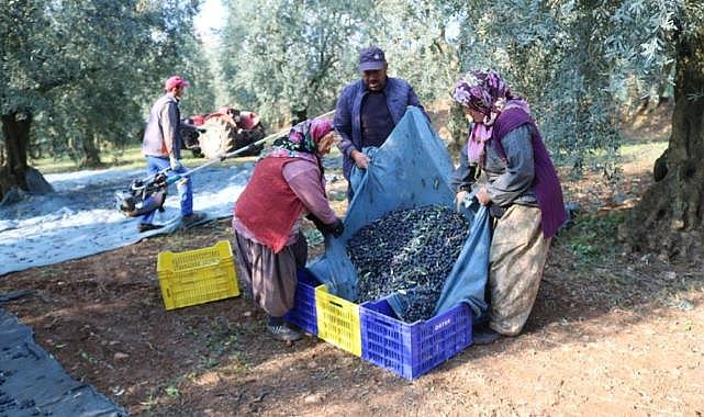 Marmarabirlik’ten ortaklarına 630 milyon lira