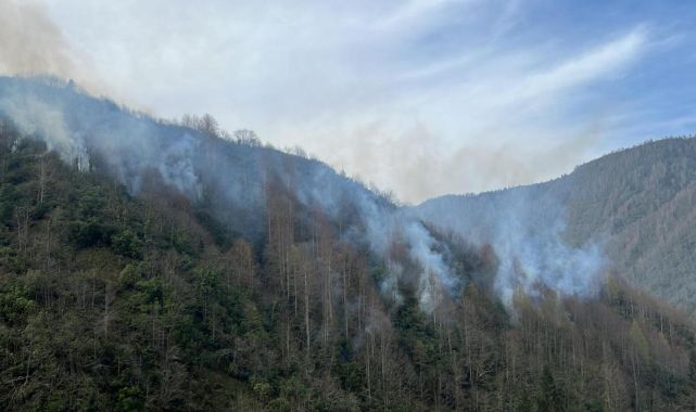 Rize'de örtü yangını