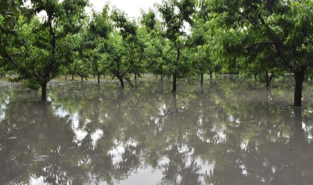 Bursa'da sağanak ve dolu etkili oldu