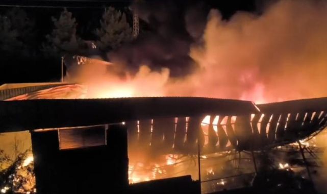 Diyarbakır'da yıldırım düşen depo yandı