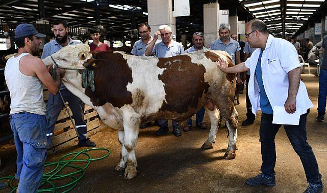 Osmangazi Belediyesinde Kurban Bayramı hazırlığı