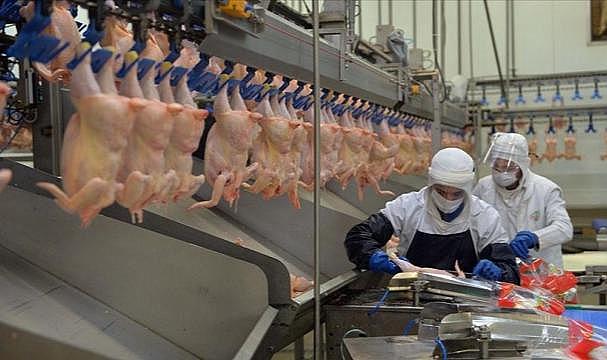 Rekabet Kurumu'ndan 4 ünlü beyaz et firmasına 1,2 milyar lira ceza