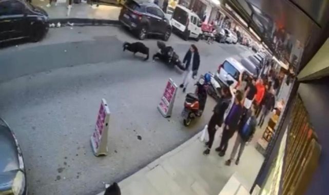 Tek teker üstünde giderken motosikletten böyle düştü