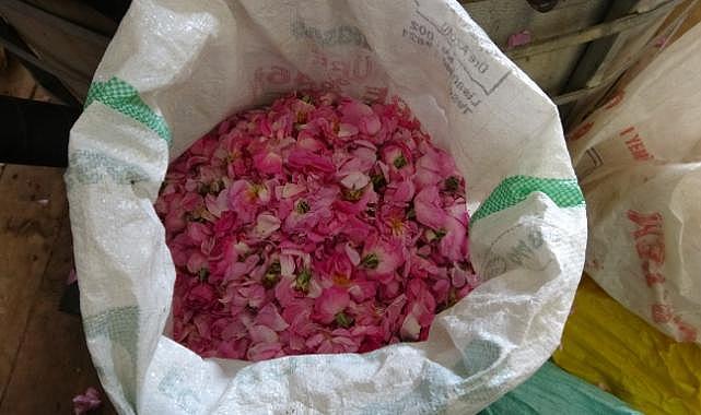 4 tondan sadece 1 litre çıkıyor, litresi 400 bin TL’yi buluyor