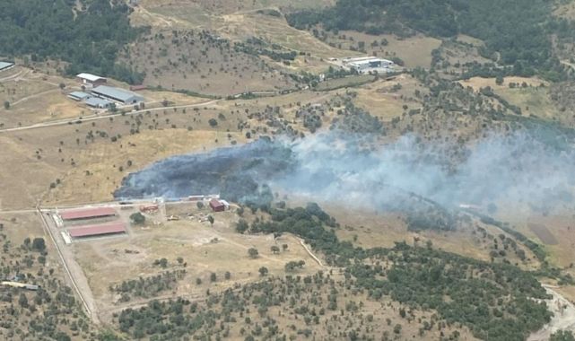 Balıkesir'de orman yangını