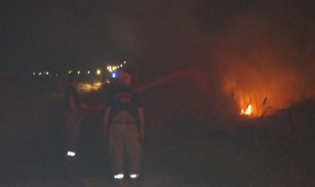 Balıkesir'de sazlık yangını