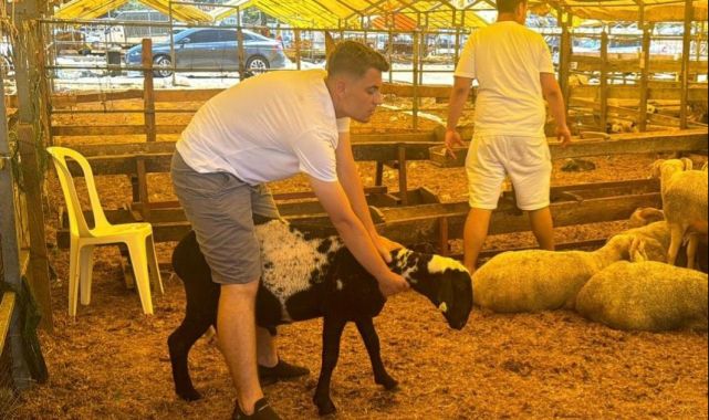 Bayramın 3. gününde kurbanlık alma telaşı sürdü