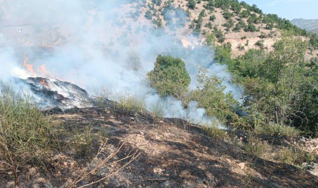 Bingöl'de ormanlık alanlara girişler yasaklandı