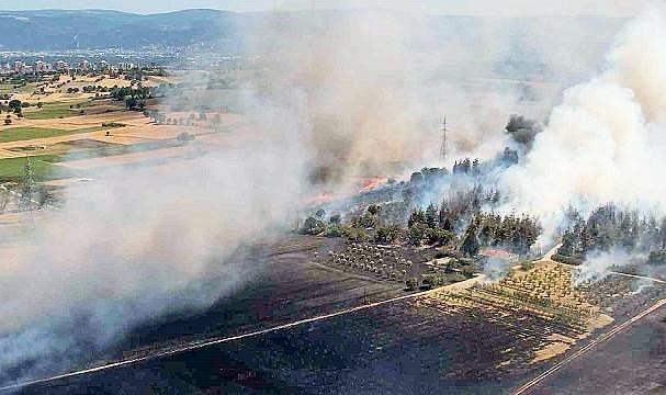 Bursa’daki yangın ormana sıçradı