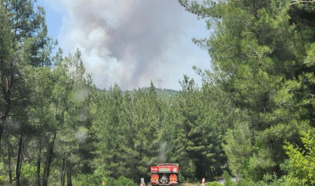 Bursa'daki orman yangını kontrol altına alındı