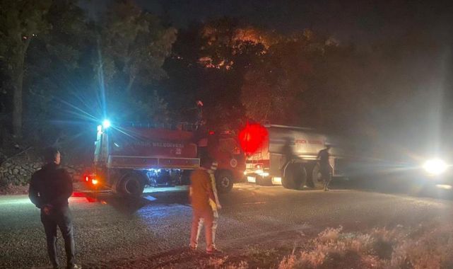 Çanakkale'de orman yangını: 1 köy tahliye edildi