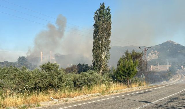 Çorum'da çıkan yangında 5 dekar ormanlık alan zarar gördü