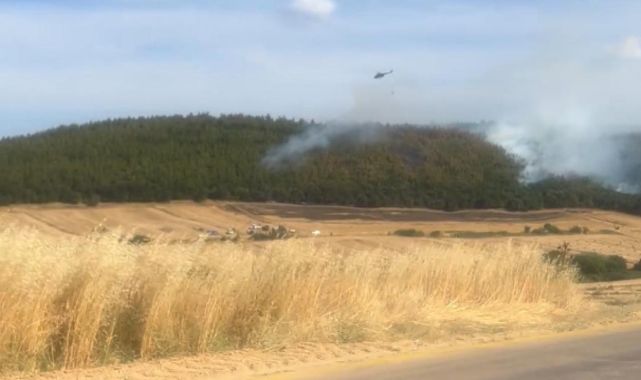 Edirne'de ormanlık alanda çıkan yangın söndürüldü