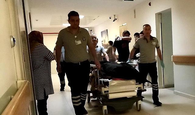 Ihlamur toplarken canından oldu