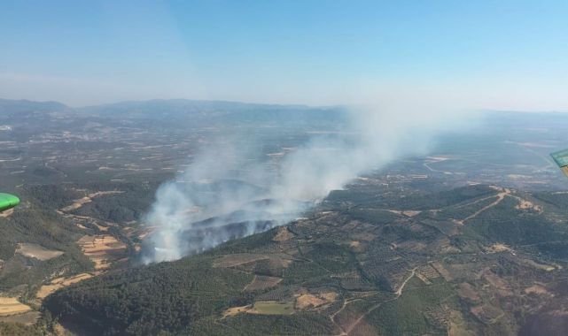 İzmir'in Bergama ilçesinde çıkan orman yangını kontrol altında