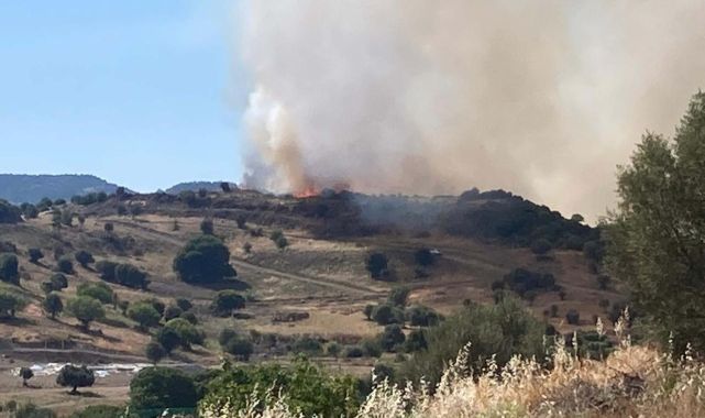 İzmir'in Bergama ilçesinde çıkan orman yangınına müdahale ediliyor