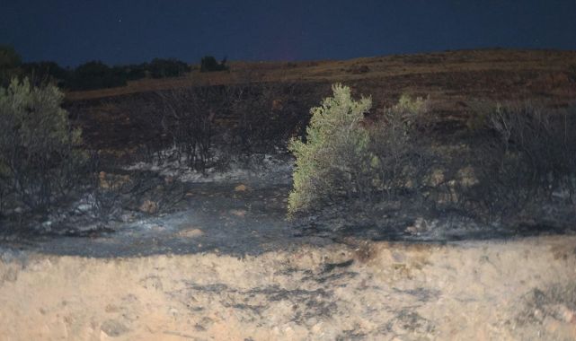 Kahramanmaraş'ta makilik yangını: 10 hektarlık alan zarar gördü
