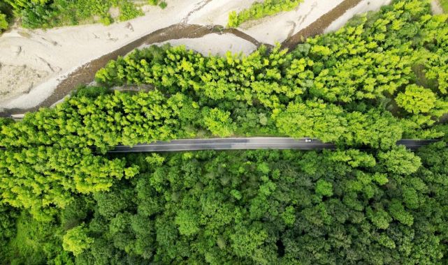 Karabük'te ormanlık alanlara girişler yasaklandı