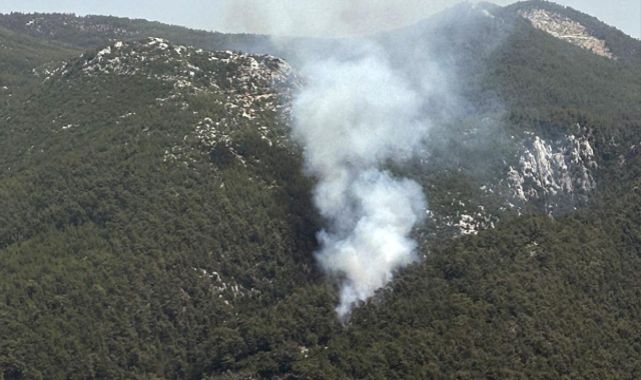 Muğla'da orman yangını