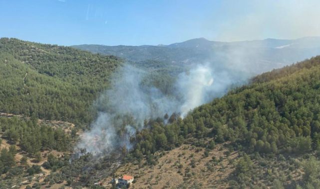 Muğla'nın Milas ilçesinde orman yangını