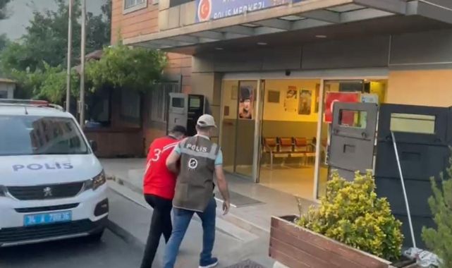Pitbull cinsi köpeğin bir kediyi öldürmesine ilişkin 2 kişi yakalandı