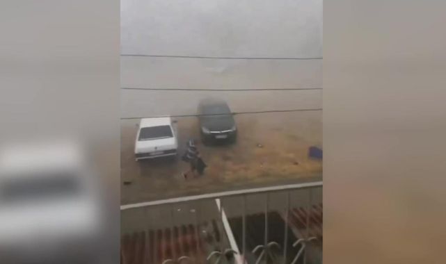 Adana'da fırtına ağaçları devirdi