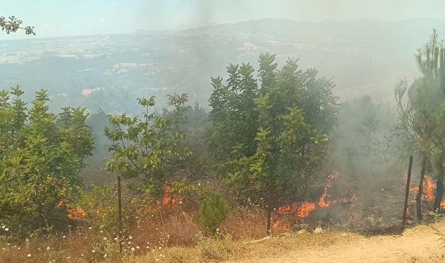 Adana'da orman yangını