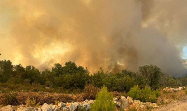 Antalya'da ormanlık alanda yangın