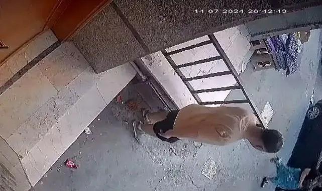 Apartmanın önüne tuvaletini yaptı