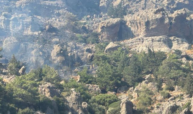 Bodrum'da makilik ve otluk alanda yangın