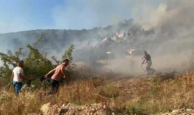 Bursa'da ormanlık alanda yangın çıktı!