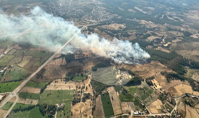 Çanakkale Ayvacık'taki yangın kontrol altında