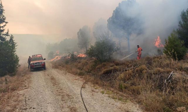 Çanakkale'de ormanlık alanda yangın
