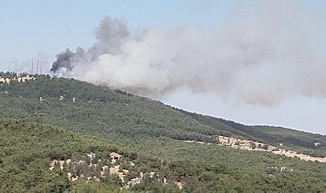 Gaziantep'te orman yangını