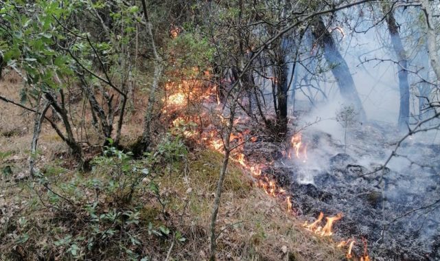 Karabük'te ormanlık alanda çıkan yangın kontrol altına alındı