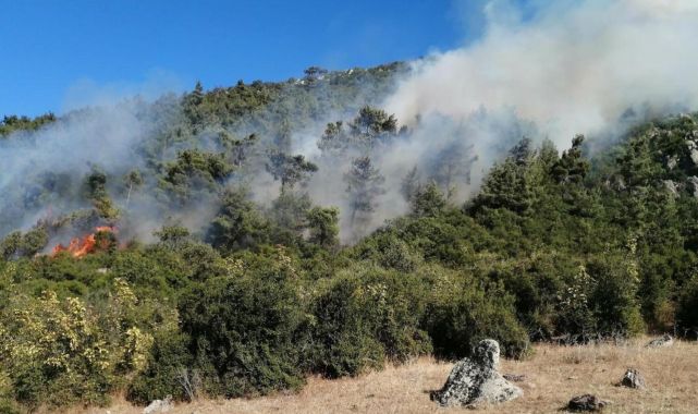 Manisa'da çıkan orman yangınına müdahale ediliyor