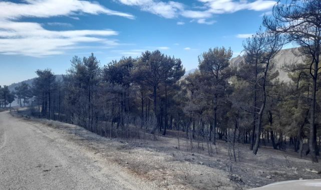 Manisa'nın Soma ilçesindeki orman yangını kontrol altına alındı