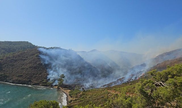 Marmaris'teki orman yangınıyla ilgili 3 kişi gözaltında