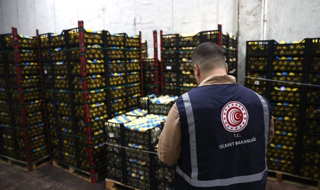 Mersin'de limon depolarına denetleme
