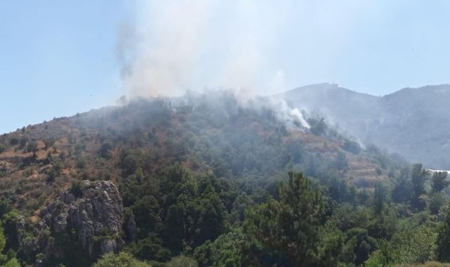 Mersin'de orman yangını