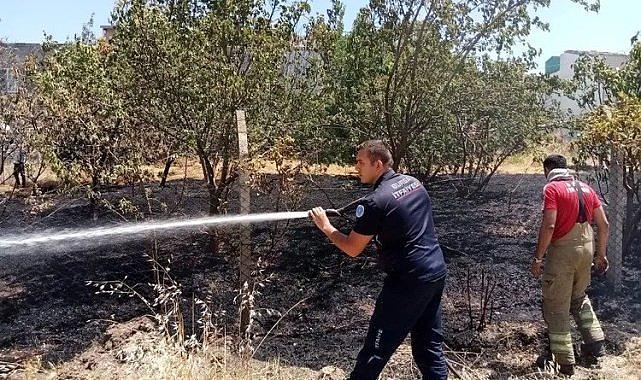 Yolçatı'da yeniden yangın başladı