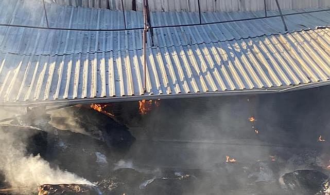 Antalya'da kağıt fabrikasında yangın