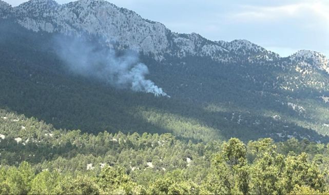 Antalya'nın Akseki ilçesinde orman yangını