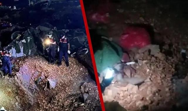 Bir katliam haberi de Ankara'dan: Onlarca köpek öldürüldü