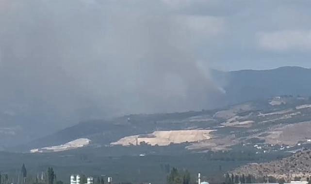 Bursa'da ormanlık alanda yangın çıktı