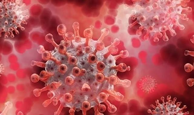 Dezenformasyonla Mücadele Merkezi'nden Türkiye'de 'maymun çiçeği' açıklaması: 'Tüm önlemler alındı'