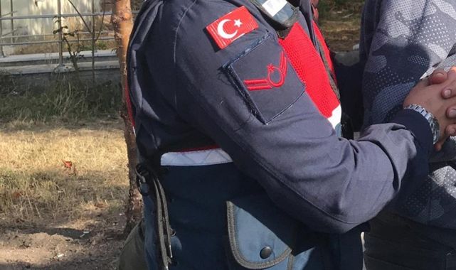 Diyarbakır'da 6 milyon 48 bin kök kenevir imha edildi