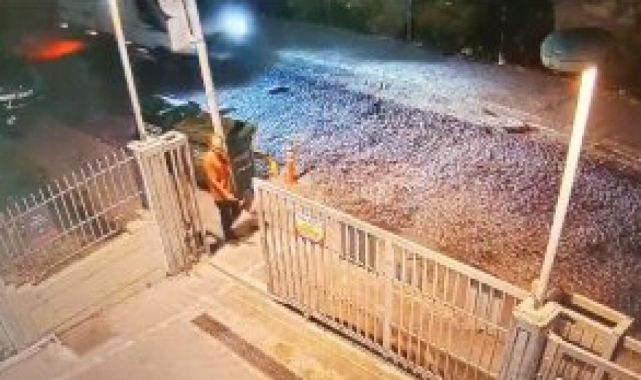 Fatihte başıboş köpeklerin saldırısında ölen kişinin hastane raporuna TRT Haber ulaştı